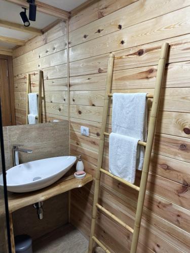 乌尔齐尼Meris的一间带水槽和木墙的浴室