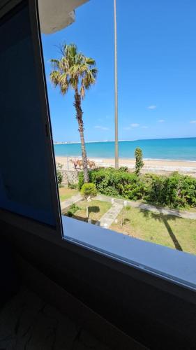 丹吉尔la belle vue tanger R的享有海滩景致的窗户。