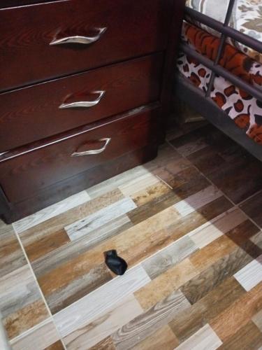 Kafr ŞaqrMasr om adonia的梳妆台旁边的地板上的一个黑色鞋
