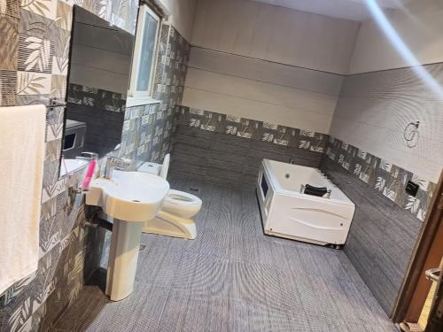 拉合尔EXPRESS HOTEL的一间带水槽和卫生间的浴室