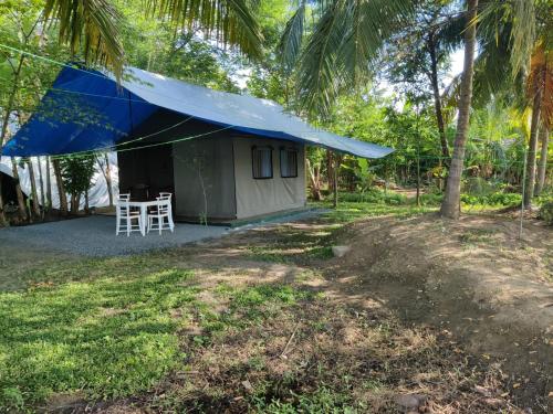 达瓦拉维Harmony Haven Eco Camp, Udawalawa的院子内带蓝色帐篷的小房子