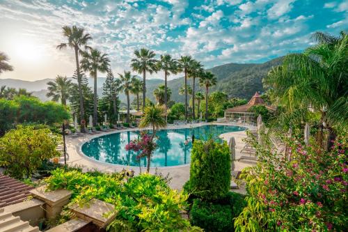 达利安达利安度假酒店 - 特殊类别的棕榈树度假村的游泳池景