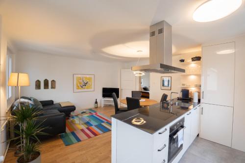 巴塞尔Jungstay Apartments- near Basel的厨房以及带台面的起居室。
