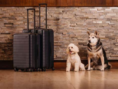 乌普萨拉弗雷斯伦德酒店的两只狗坐在砖墙旁边,带行李