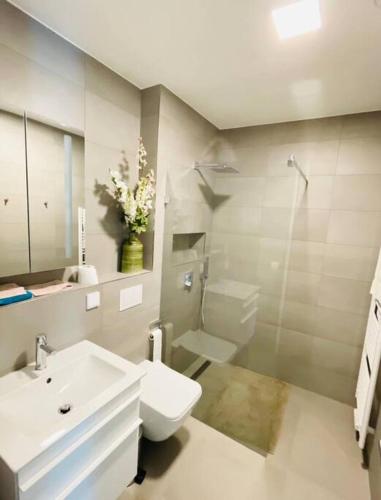 卢森堡Brand New Luxury Studio in Belair with balcony的白色的浴室设有水槽和卫生间。