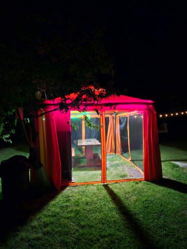 克里尚Camping Casuta Mihaela的夜晚在草地上的一个红色小帐篷