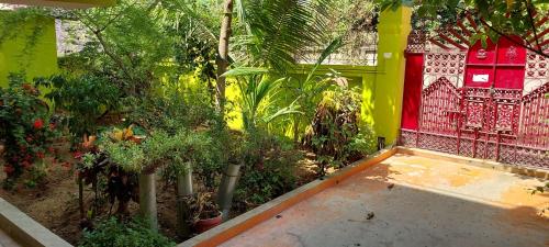 德奥加尔Anand Bhavan的种有树木和植物的花园,黄色的墙壁