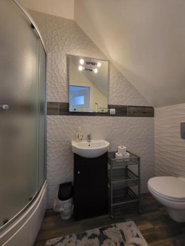 维德米内Cicha Dolina的一间带水槽、卫生间和镜子的浴室