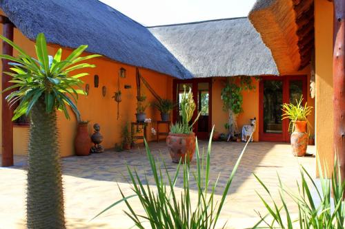 帕拉博鲁瓦Bushvilla Umoja Kruger的庭院里种植了棕榈树的橙色房子