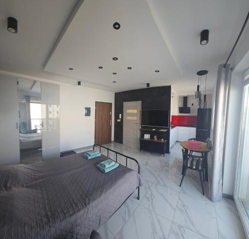 波兹南Apartament Malta的一间设有床铺和厨房的大卧室