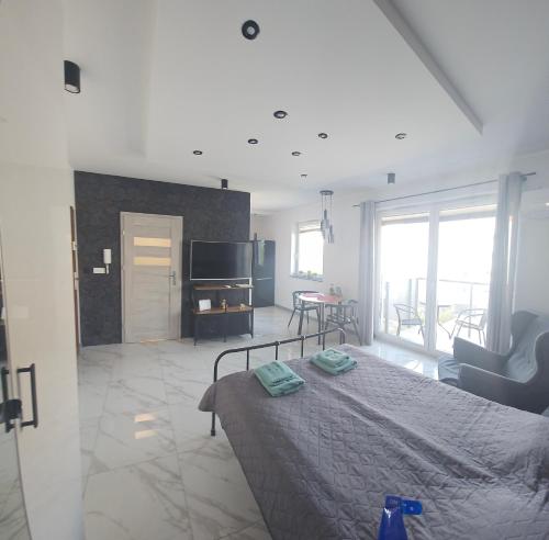 波兹南Apartament Malta的一间卧室设有一张床和一间客厅。