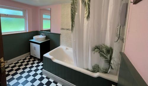 凯尔西温Seaview House Reenard South的带浴缸和盥洗盆的浴室