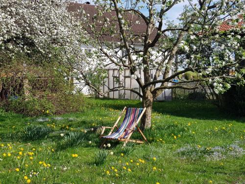 派廷格Ferienwohnung Hofen 5的坐在树下草上的椅子