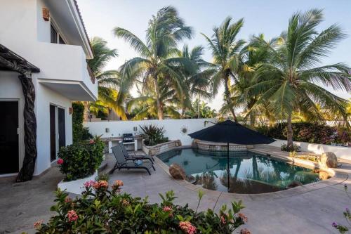 圣何塞德尔卡沃Chris Villa La Jolla San José del Cabo的一个带游泳池和棕榈树的后院