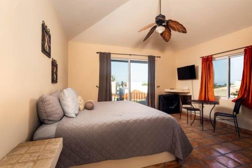 圣何塞德尔卡沃Chris Villa La Jolla San José del Cabo的一间卧室配有一张床和吊扇