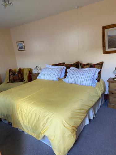 特伦托河上的纽瓦克杨柳树别墅 的一间卧室配有一张大床,配有黄色的床单和蓝色的枕头。