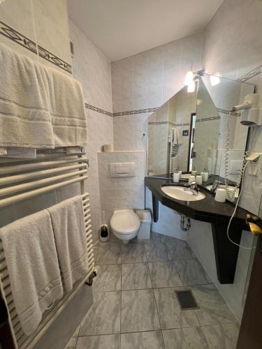沃尔姆斯中心酒店的一间带卫生间和水槽的浴室
