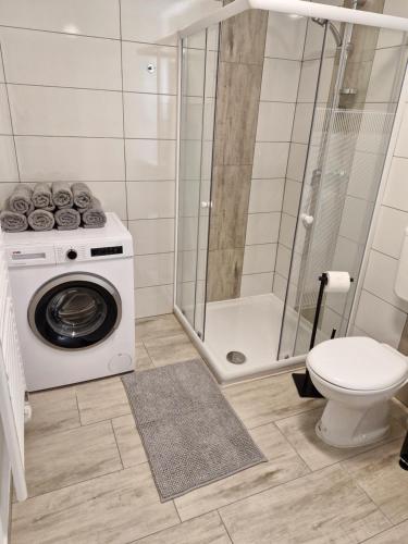 莫斯特拉纳Apartma Vovk的一间带洗衣机和卫生间的浴室