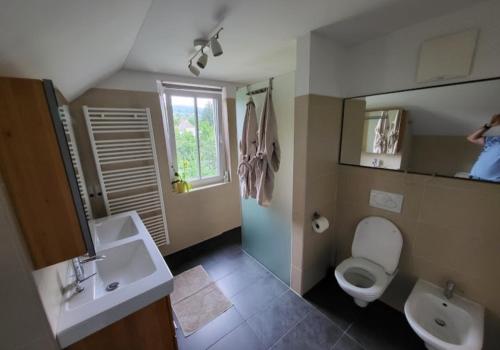 沃尔特湖畔韦尔登Loft Barbara的一间带卫生间和水槽的浴室