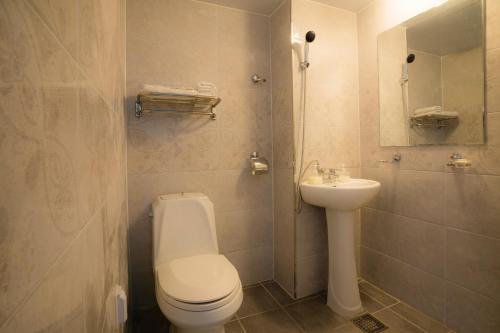首尔荣耀旅馆的一间带卫生间和水槽的浴室