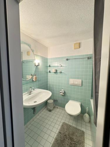 Därligen2 Rooms with kitchen by Interlaken的一间带水槽和卫生间的浴室