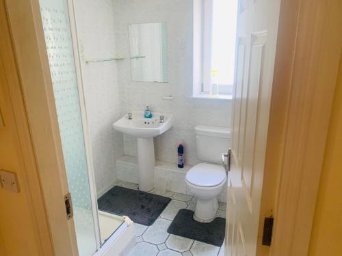 科芙Sea view Flat Cobh的一间带卫生间和水槽的浴室