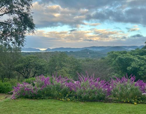 科尔多瓦El Satélite的紫色花卉和树木的田野景色