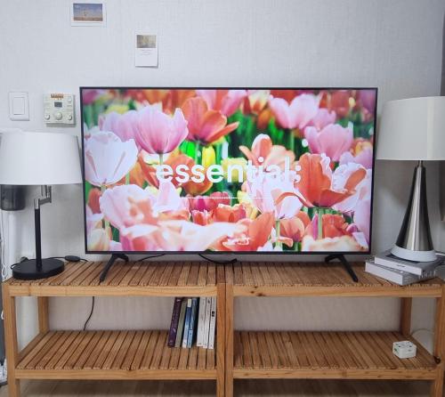 首尔Stay Cheongnyang的木架上配有平面电视
