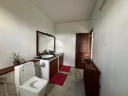 科伦坡Rai Villa Colombo的一间带卫生间、水槽和镜子的浴室
