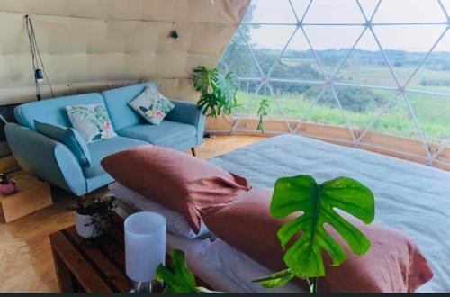 怀普Waipu Off-grid Eco Geodesic Glamping Dome的一间卧室配有一张床和一张蓝色的沙发