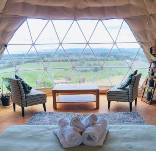 怀普Waipu Off-grid Eco Geodesic Glamping Dome的客房设有两张床和大窗户。