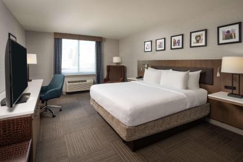 费城费城市中心希尔顿花园酒店的配有一张床和一台平面电视的酒店客房