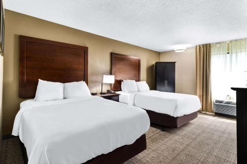 埃文斯维尔埃文斯维尔东康福特茵酒店的酒店客房设有两张床和窗户。