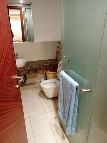 拉合尔Luxury rooms studioLahore的浴室设有卫生间、水槽和毛巾