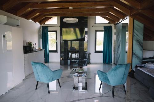 Huta VoivoziCasa moderna in Sinteu - intersectia intre modern si linistea naturii的客厅配有2把蓝色椅子和桌子