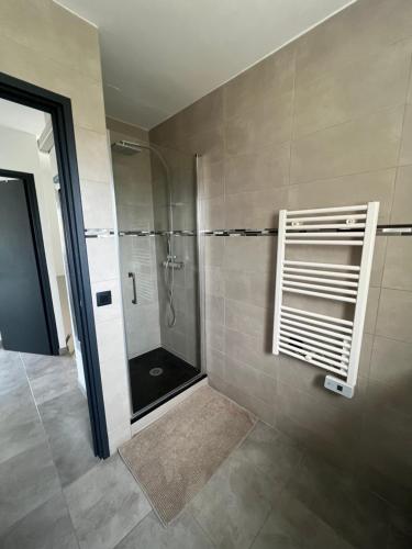 博尔马斯·莱斯·米默萨斯Villa LEOVI Superbe logement 3 pieces - 7 personnes, à 100m plage la Faviere的带淋浴的浴室和玻璃门
