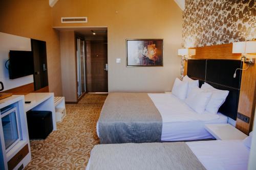 杰尔宾特Elgarden Hotel & Spa的配有一张床和一台平面电视的酒店客房