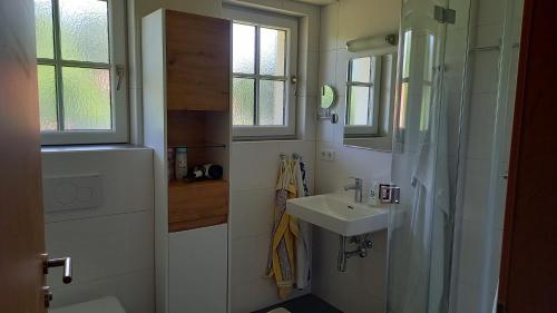 巴德哥依斯恩豪斯皮尔菲林公寓的一间带水槽和淋浴的小浴室