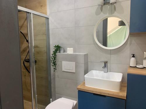 利波瓦Apartamenty Nad Zimnikiem的一间带卫生间、水槽和镜子的浴室