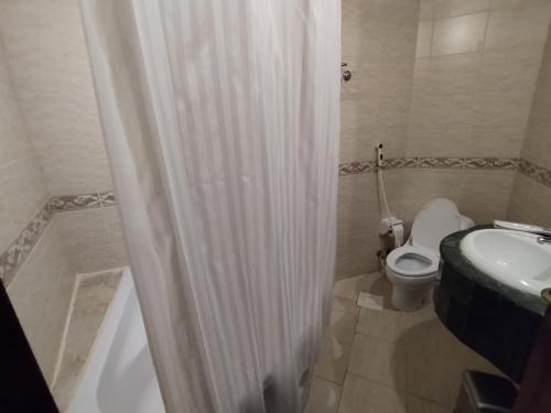 吉达فندق مدهال的浴室配有卫生间、盥洗盆和淋浴。