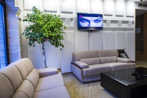 第比利斯第比利斯酒店的客厅配有两张沙发和一台电视机