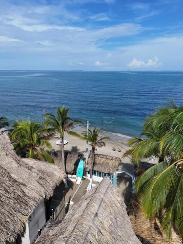 San OnofrePalenque Beach House的享有棕榈树海滩和大海的景色