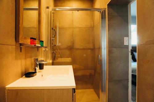 圣拉斐尔La Farigoule的带淋浴和盥洗盆的浴室