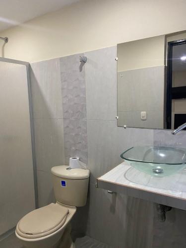 丰塞卡Hotel Raquel Rosado的一间带卫生间、水槽和镜子的浴室