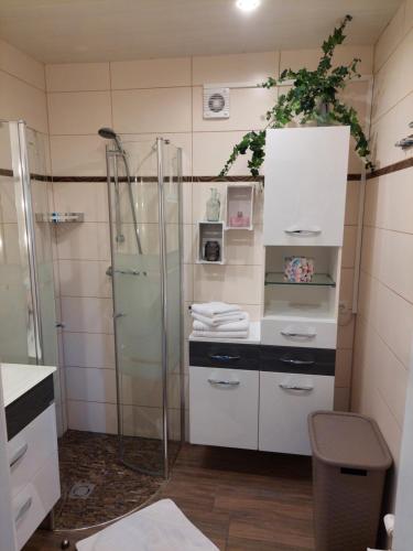 PinsdorfWohnung mit Charme in Pinsdorf的一间带玻璃淋浴和水槽的浴室