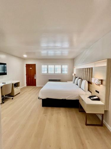 旧金山Nob Hill Motor Inn -Newly Updated Rooms!的一间大卧室,配有一张大床和一张书桌