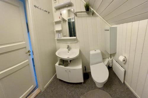 HjelmelandFjord road的一间带卫生间和水槽的小浴室