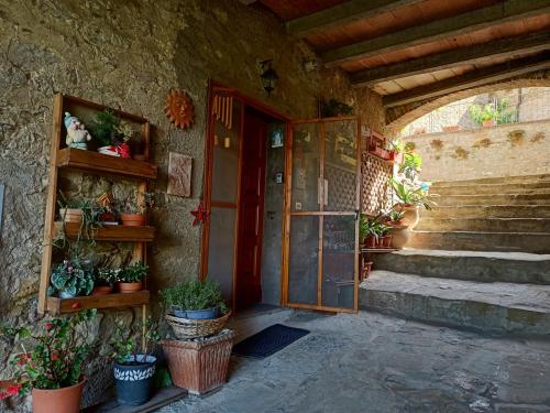 Monte del Lagoil borgo antico的门,门,盆栽植物的房子的入口