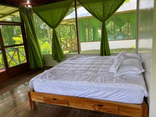 莱蒂西亚Amazon Açaí Lodge的绿窗帘间的一张大床