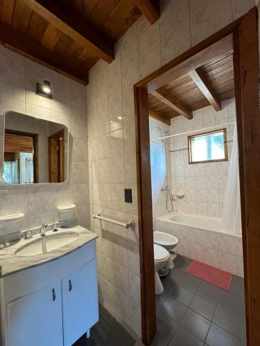 圣马丁德洛斯Huilen de Bandurrias的浴室配有盥洗盆、卫生间和浴缸。